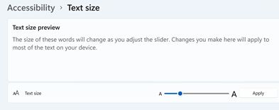 Windows 11 Font Size